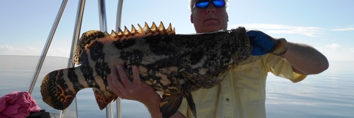Charlotte County Fishing Report with Frank