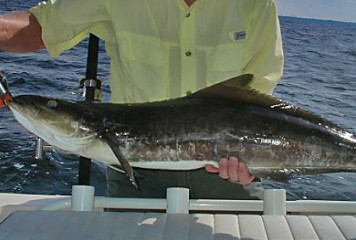 Fishin’ Frank’s Charlotte County Report