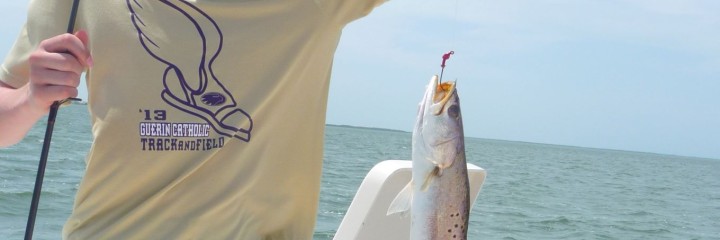 Captain Terry’s Weekly Fishing Report