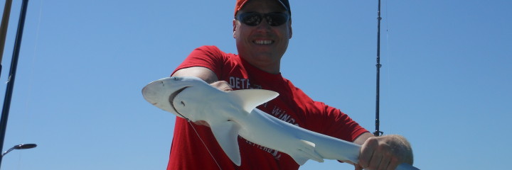 Capt. Terry’s charter produced a number of small sharks for lots of ‘reel’ excitement!