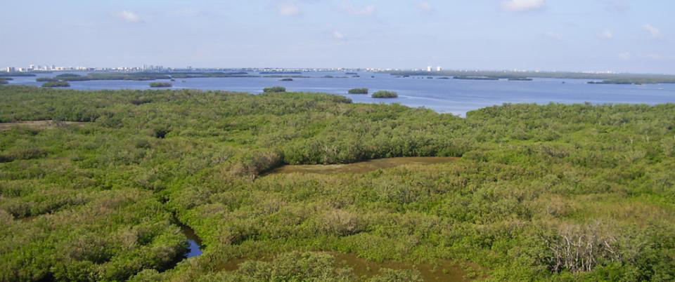 Estero Bay Preserve