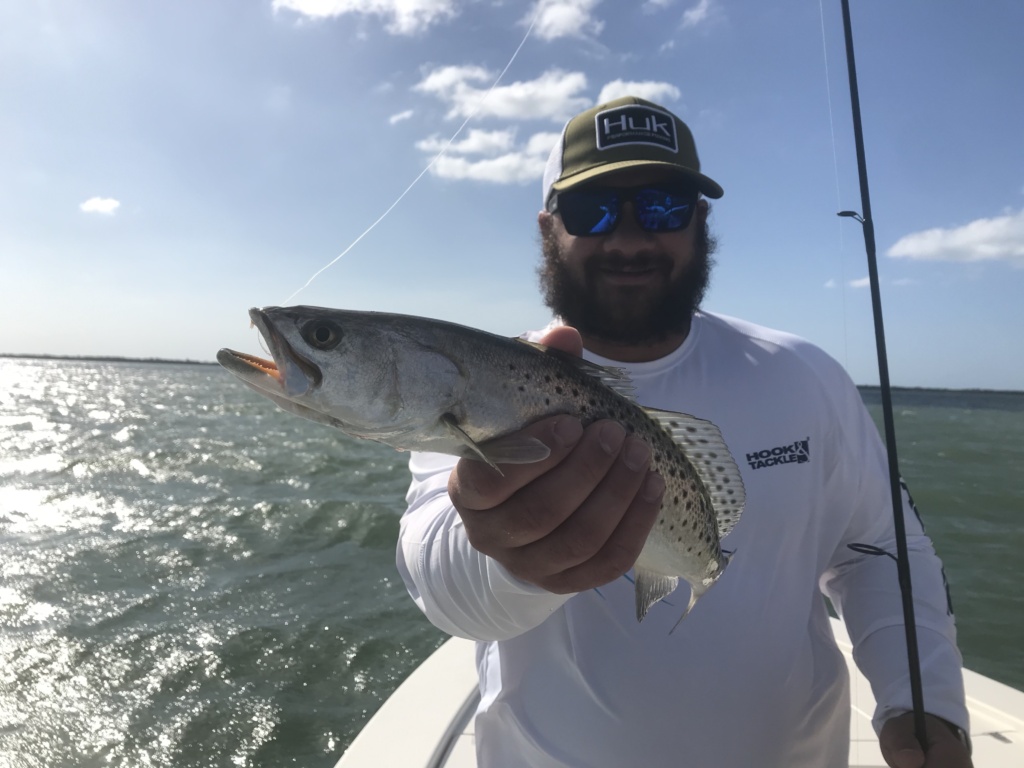 large Seatrout 