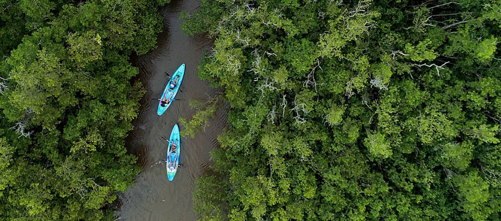 Kayaks making their way through a trail